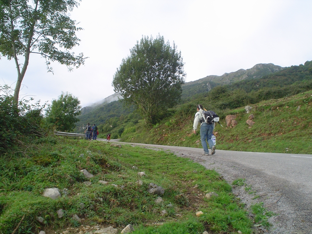DSC08279.JPG